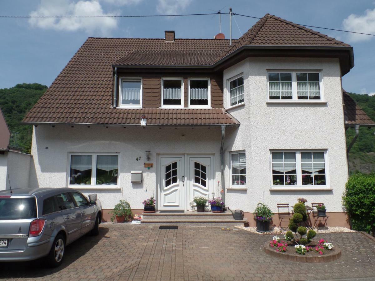 Ferienwohnung Erz Burgen  Exteriér fotografie